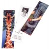 Bookmarks