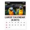 Large Calendar (8.5x11)