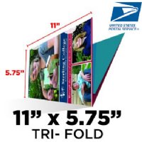 Tri-Fold Direct Mail Postcard - 11x17.25 to 11x5.75
