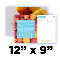 EDDM Postcard - 12x9