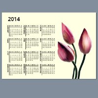 Calendar Magnets