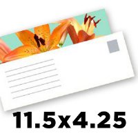 EDDM Postcard - 11.5x4.25