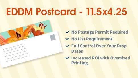 EDDM Postcard - 11.5x4.25