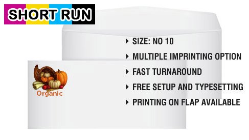 Short Run No. 10 Regular Envelope (4 1/8 x 9 1/2)