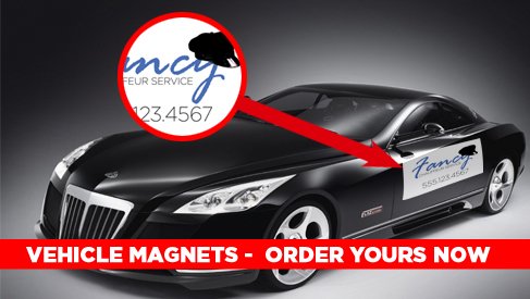 Vehicle Magnets